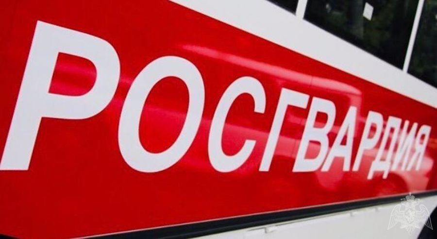 В Подмосковье сотрудники Росгвардии оказали помощь мужчине, упавшему на железнодорожные рельсы