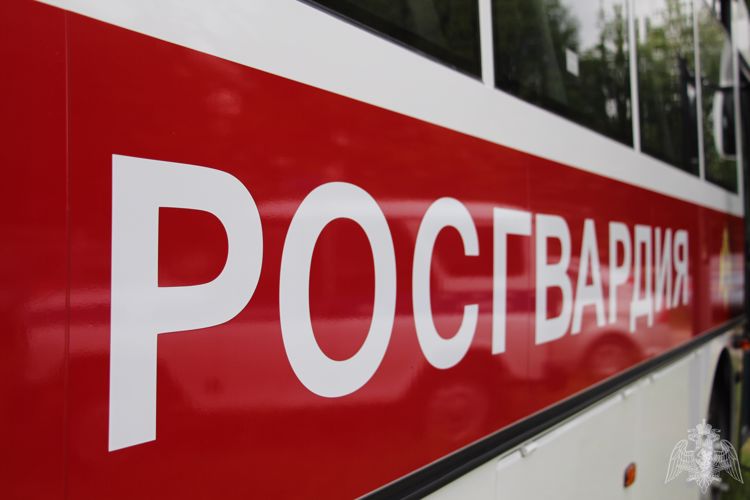 При участии Подмосковного СОБР задержаны подозреваемые в совершении серии краж
