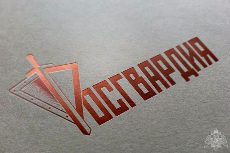 В Подмосковье сотрудники Росгвардии задержали подозреваемого в убийстве работницы детского сада