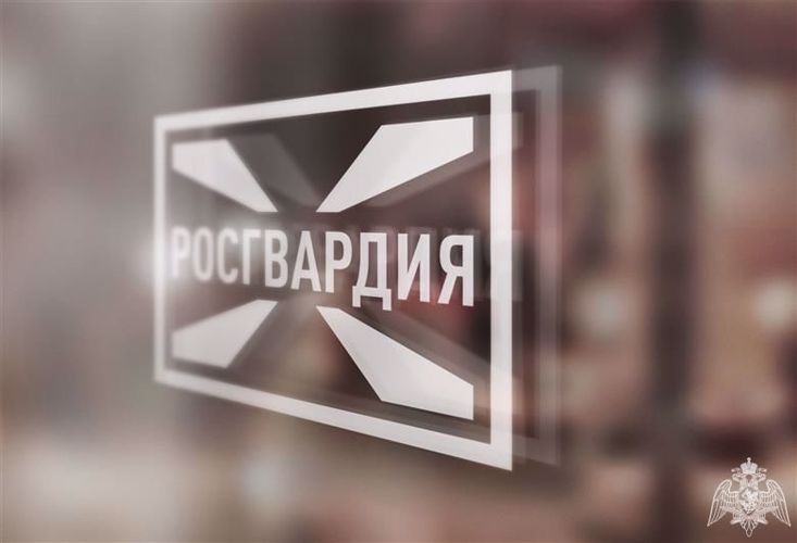 В Подольском районе росгвардейцы задержали нечестного покупателя