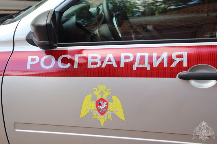 Росгвардейцы предотвратили две кражи в Подольском городском округе 
