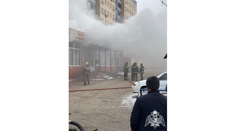 Более 30 человек эвакуировали сотрудники Росгвардии из загоревшегося здания в Подмосковье (Видео)