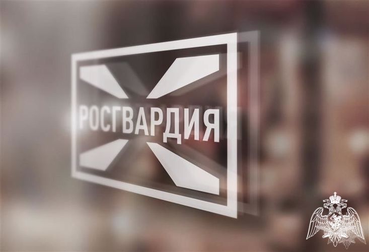 В Подмосковье росгвардейцы задержали мужчину, пришедшего с муляжом гранаты в военкомат 