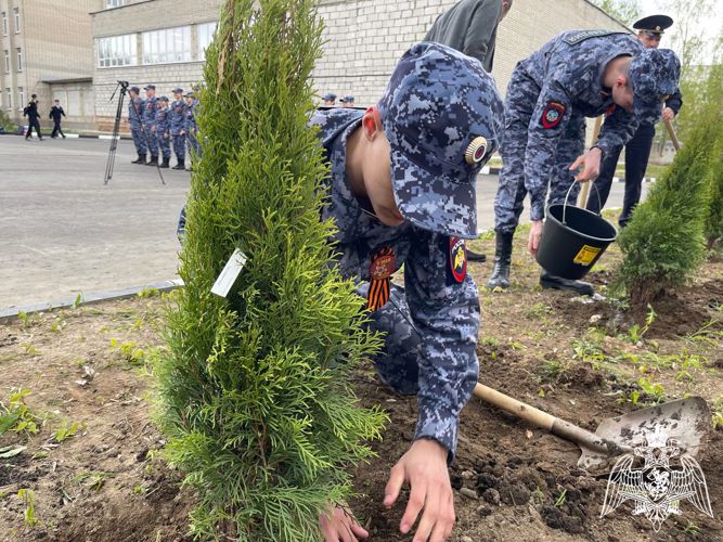 Курсанты «Гвардейской смены» присоединились к акции «Лес Победы»