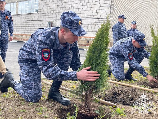 Курсанты «Гвардейской смены» присоединились к акции «Лес Победы»