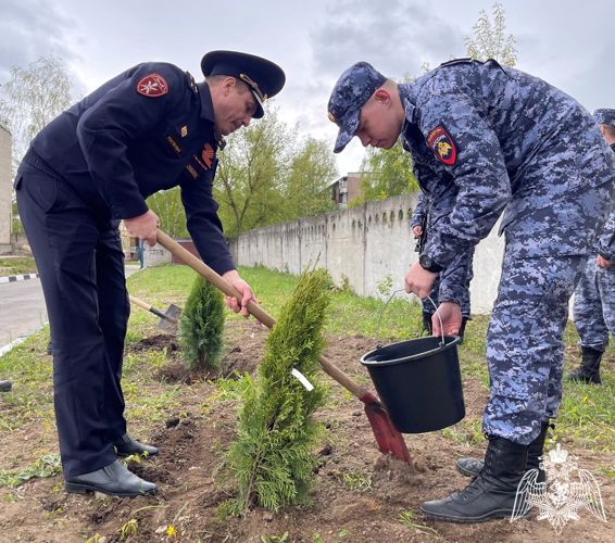 Курсанты «Гвардейской смены» присоединились к акции «Лес Победы»