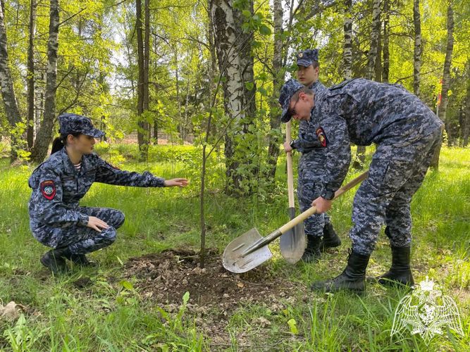 «Гвардейская смена» Подмосковья присоединилась к акции «Лес Победы» в Звездном городке (Видео)