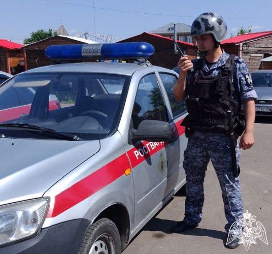 Росгвардейцы задержали в Подмосковье мужчину, подозреваемого в краже пылесоса (Видео)