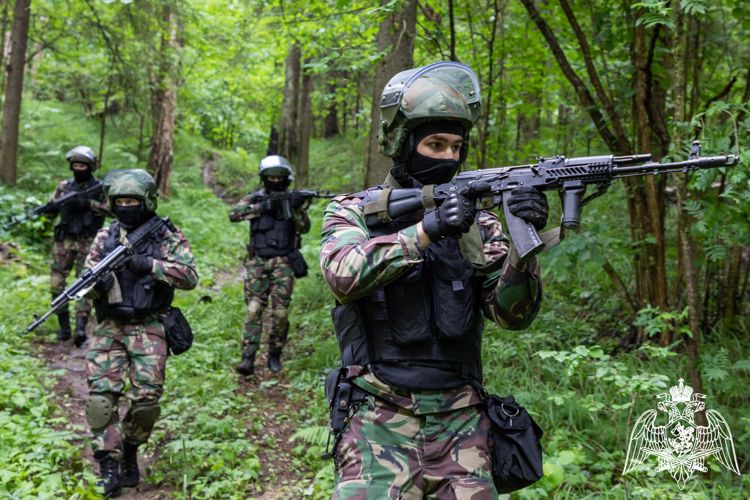 С начала года около 3 тысяч задач выполнили спецподразделения Росгвардии Подмосковья