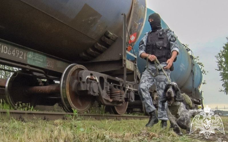 Сотрудники Росгвардии приняли участие в тактико-специальных занятиях в Подмосковье