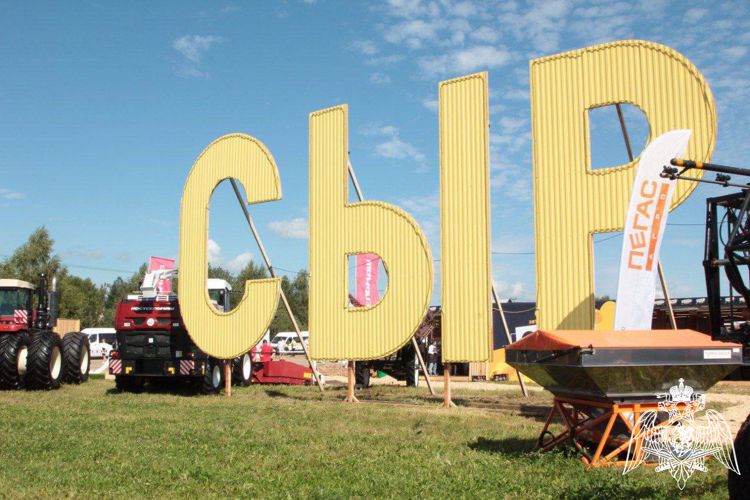Подмосковные росгвардейцы обеспечили правопорядок на фестивале «Сыр. Пир. Мир»