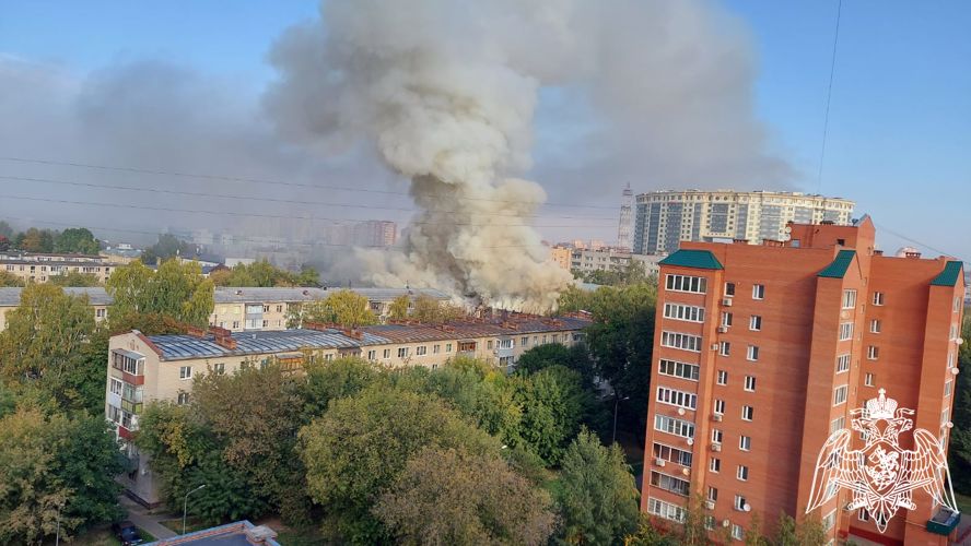 Росгвардейцы оказали содействие экстренным службам во время пожара в Подмосковье (Видео)