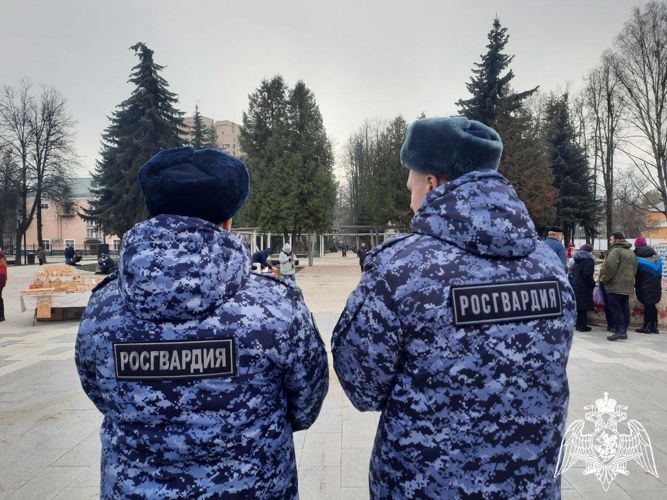 В Подмосковье росгвардейцы обеспечивают правопорядок во время празднования Дня народного единства