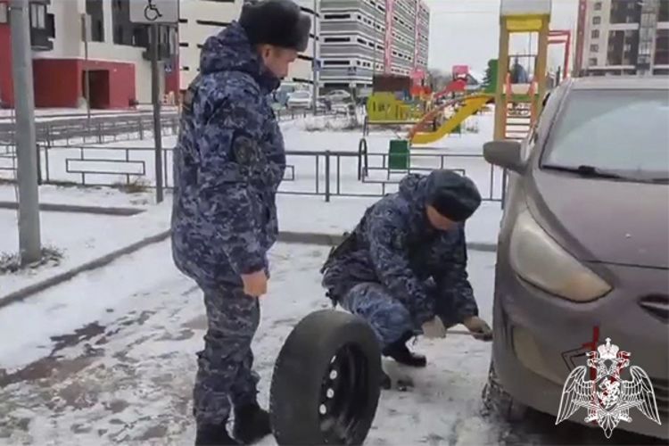 Сотрудники Росгвардии помогли жительнице Подмосковья починить автомобиль
