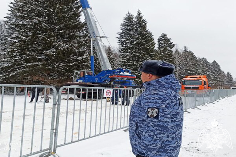 В Щелково сотрудники Росгвардии обеспечили правопорядок во время подготовки главной новогодней ели страны 