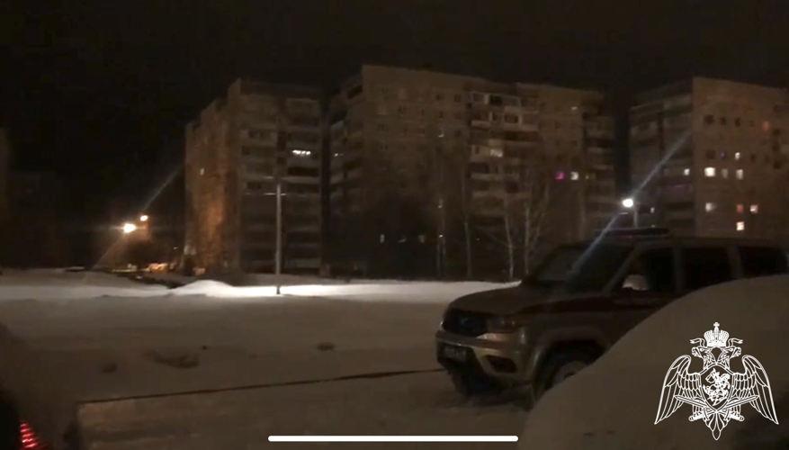 РОСГВАРДЕЙЦЫ ОКАЗАЛИ ПОМОЩЬ ВОДИТЕЛЯМ ТРАНСПОРТНЫХ СРЕДСТВ В УСЛОВИЯХ АНОМАЛЬНОГО СНЕГОПАДА В ПОДМОСКОВЬЕ