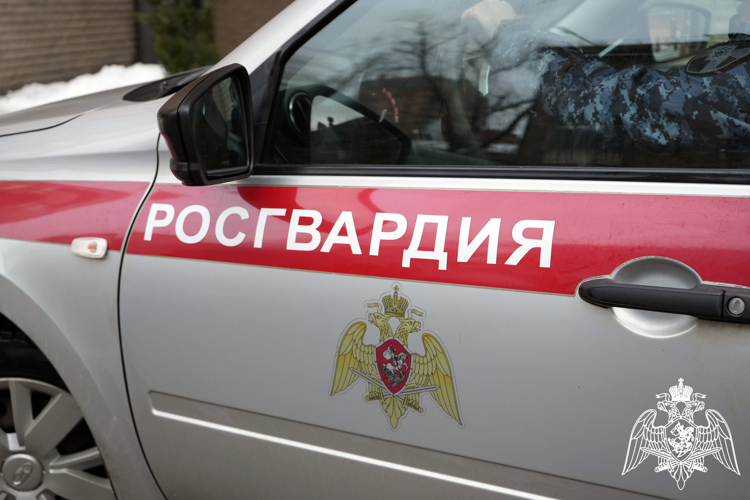 В Подмосковье сотрудники Росгвардии задержали подозреваемого в краже дорогостоящего электроинструмента из магазина