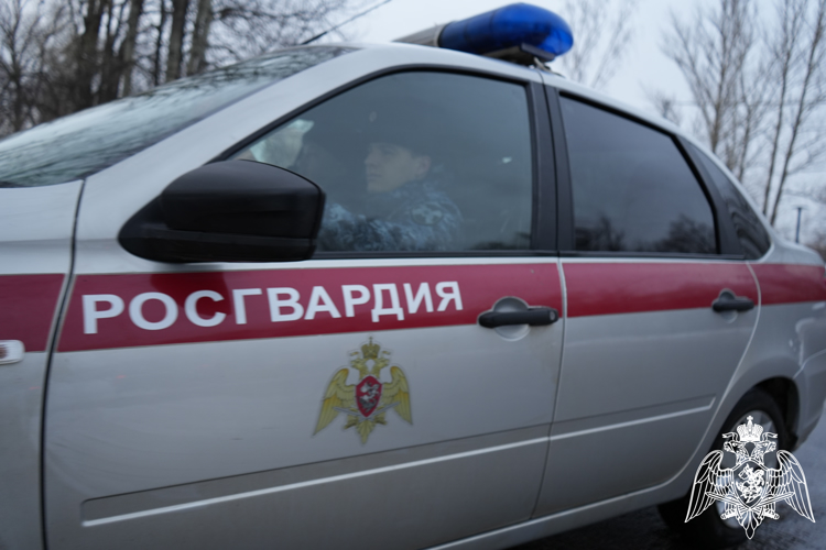 В Красногорске росгвардейцы задержали подозреваемого в краже  наушников и робот-пылесоса
