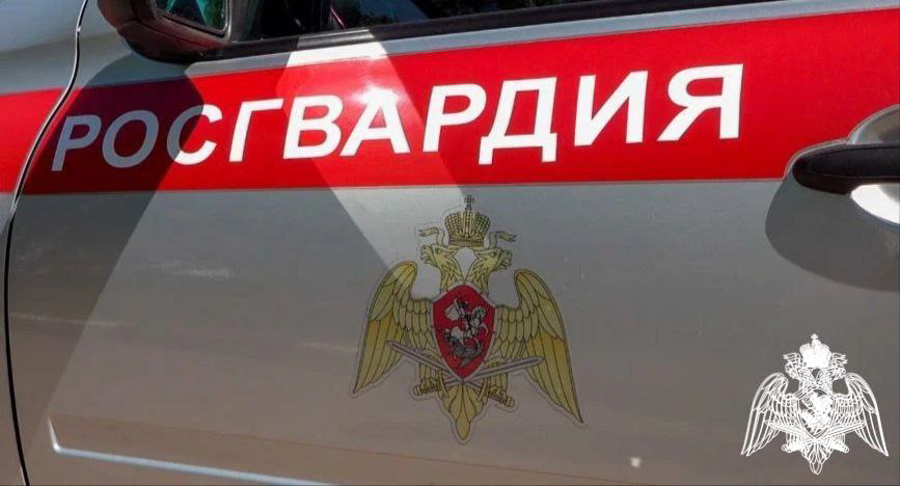За прошедшую неделю подмосковные росгвардейцы обеспечили безопасность более 180 мероприятий 