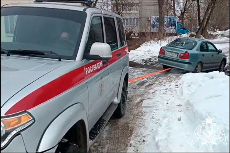 В Московской области сотрудники Росгвардии оказали помощь автомобилисту (видео)