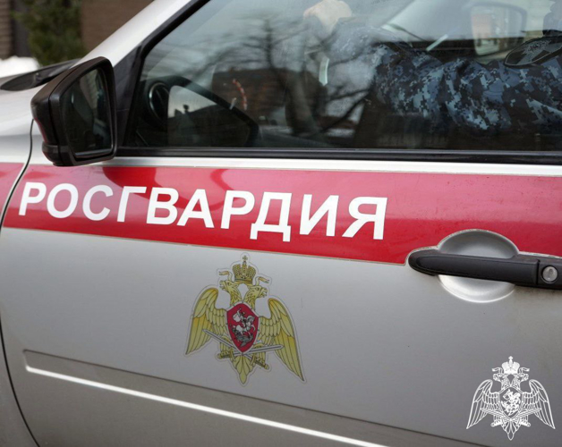 За прошедший месяц подмосковные росгвардейцы обеспечили безопасность более 1000  мероприятий 