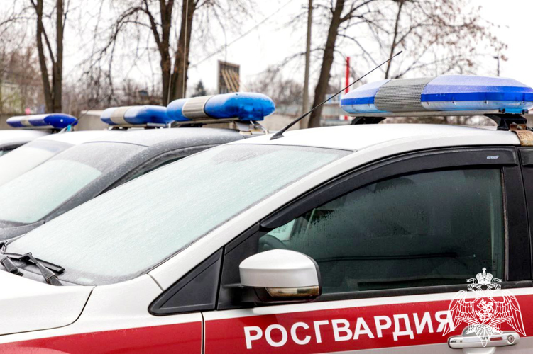 В Московской области сотрудники Росгвардии задержали подозреваемого в краже дорогостоящего электрооборудования