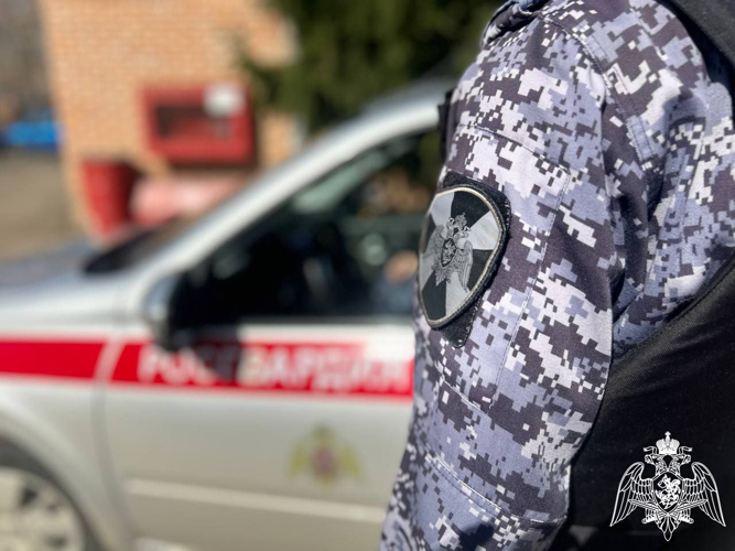 В Подмосковье сотрудники Росгвардии задержали подозреваемого в краже из сетевого супермаркета