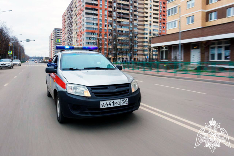 В Московской области сотрудники Росгвардии задержали подозреваемых в краже из медучреждения