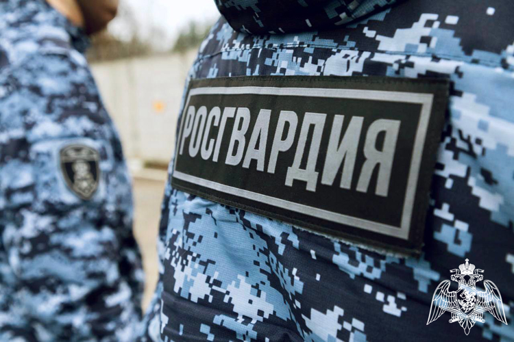 В Московской области сотрудники Росгвардии задержали подозреваемого в совершении серии краж 
