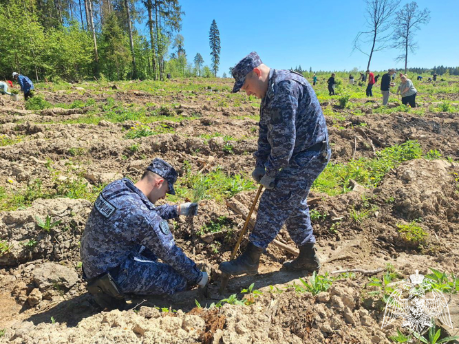 В Московской области сотрудники Росгвардии присоединились к ежегодной экологической акции «Наш лес. Посади свое дерево»