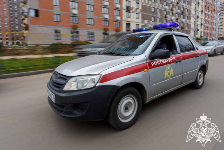 В Подмосковье сотрудники Росгвардии задержали подозреваемого в краже товаров из магазина