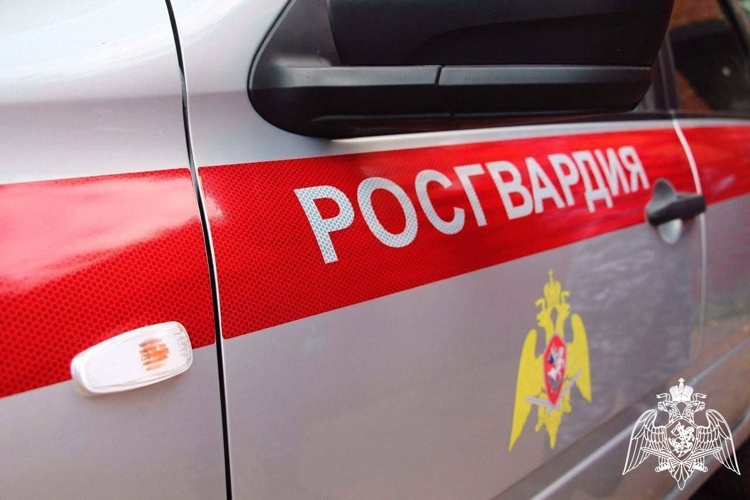 За прошедший месяц подмосковные росгвардейцы обеспечили безопасность более 1000 мероприятий 