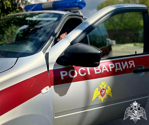 В Московской области сотрудники Росгвардии задержали граждан, которые устроили драку вблизи охраняемой территории музея