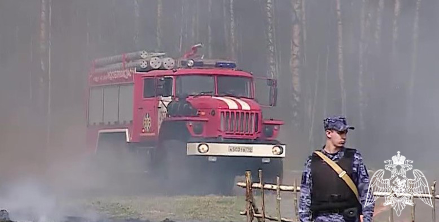 Совместная тренировка сотрудников Росгвардии и МЧС состоялась в Подмосковье