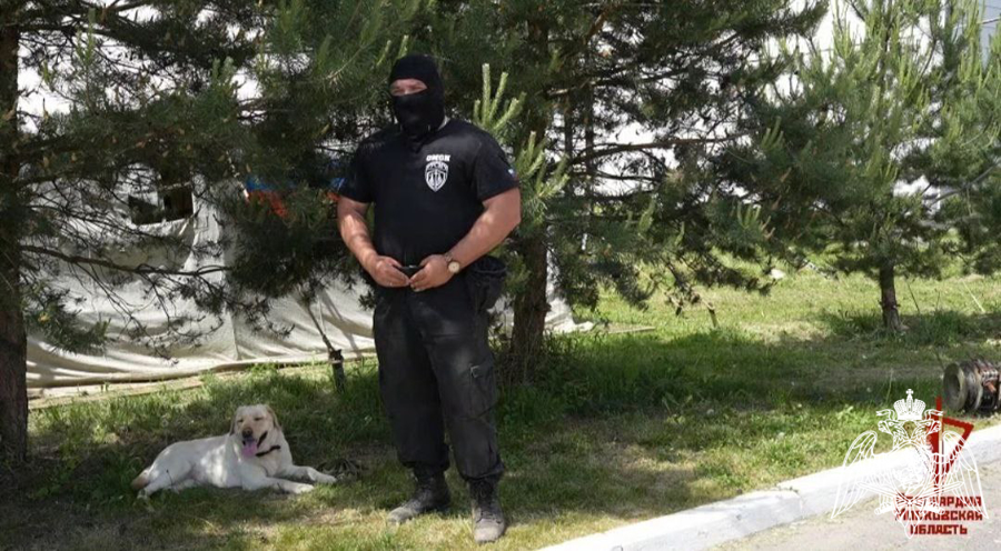 В День кинолога Росгвардии сотрудник ОМОН «Русич» рассказал об особенностях своей профессии (видео)