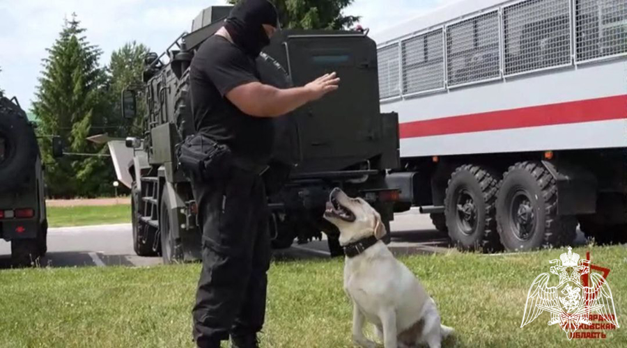 В День кинолога Росгвардии сотрудник ОМОН «Русич» рассказал об особенностях своей профессии (видео)