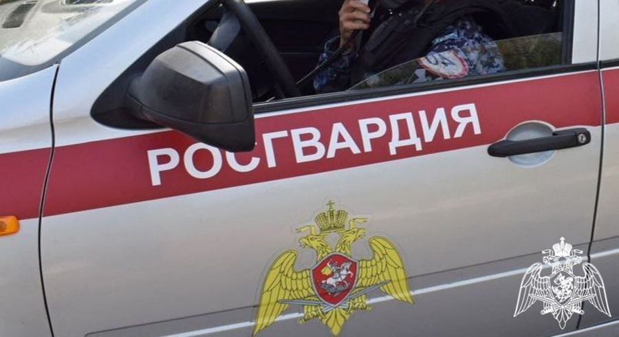 Сотрудники Росгвардии задержали подозреваемого в умышленной порче имущества