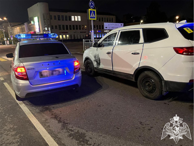 В Щелково сотрудники Росгвардии задержали нетрезвого водителя
