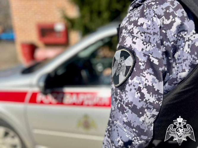 В Домодедово сотрудники Росгвардии задержали подозреваемого в краже партии товаров