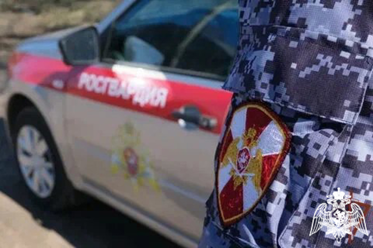 В Московской области сотрудники Росгвардии задержали подозреваемого в краже партии товаров для дальнейшей продажи (видео)