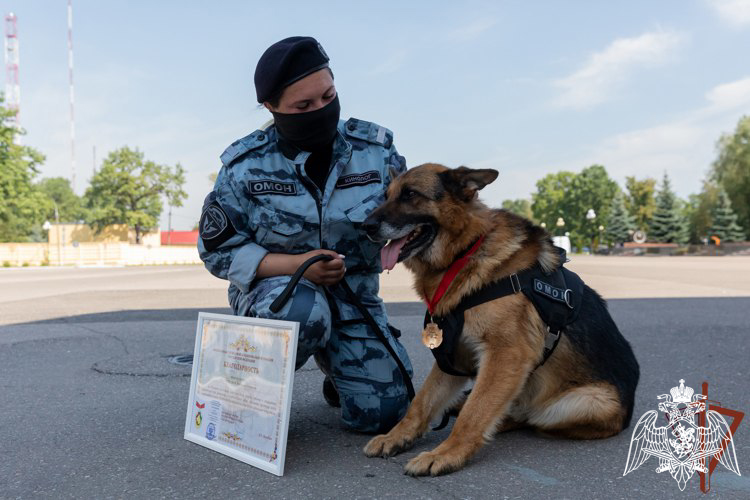 Кинологи подмосковного главка Росгвардии и их минно-розыскные собаки отмечены руководством ведомства за высокие показатели в службе (видео)