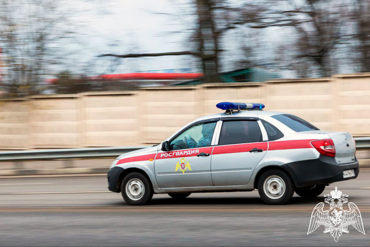 В Люберцах росгвардейцы задержали гражданина, находящегося в федеральном розыске (видео)