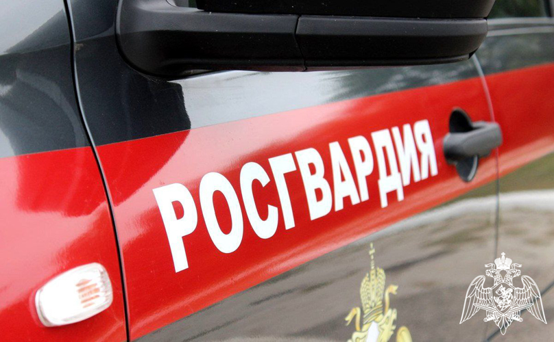 Подмосковные росгвардейцы пресекли опасные действия водителя, который пытался уйти от преследования (видео)