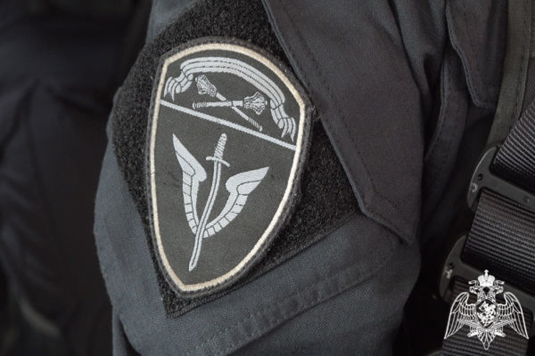 В Подмосковье при силовой поддержке ОМОН «Пересвет» задержаны подозреваемые в серии мошенничеств (видео)