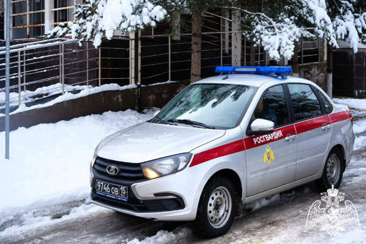 В Подмосковье росгвардейцы задержали подозреваемых в краже дорогостоящего электроинструмента из строительного магазина