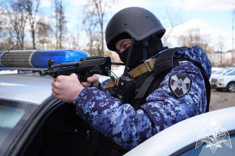 Росгвардейцы задержали в Подмосковье подозреваемого в покушении на убийство (видео)