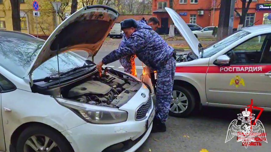 В Подмосковье сотрудники Росгвардии помогли девушке починить ее автомобиль на проезжей части (видео)