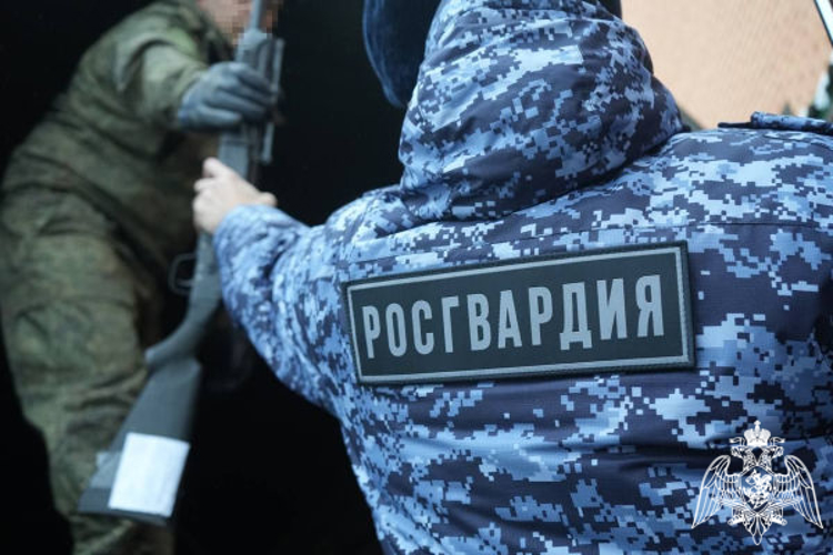   В Подмосковье сотрудники Росгвардии подготовили к передаче в зону СВО порядка 800 единиц оружия для борьбы с дронами (видео)