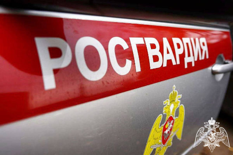 В Московской области сотрудники Росгвардии пресекли грабеж в одном из магазинов (видео)