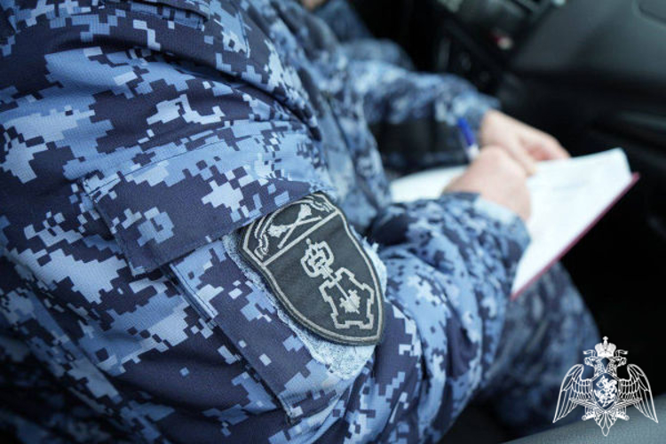 Подмосковные росгвардейцы по горячим следам задержали подозреваемого в краже чужого мобильного телефона